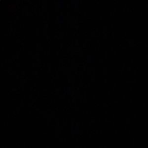 Meet your Posher, Cora